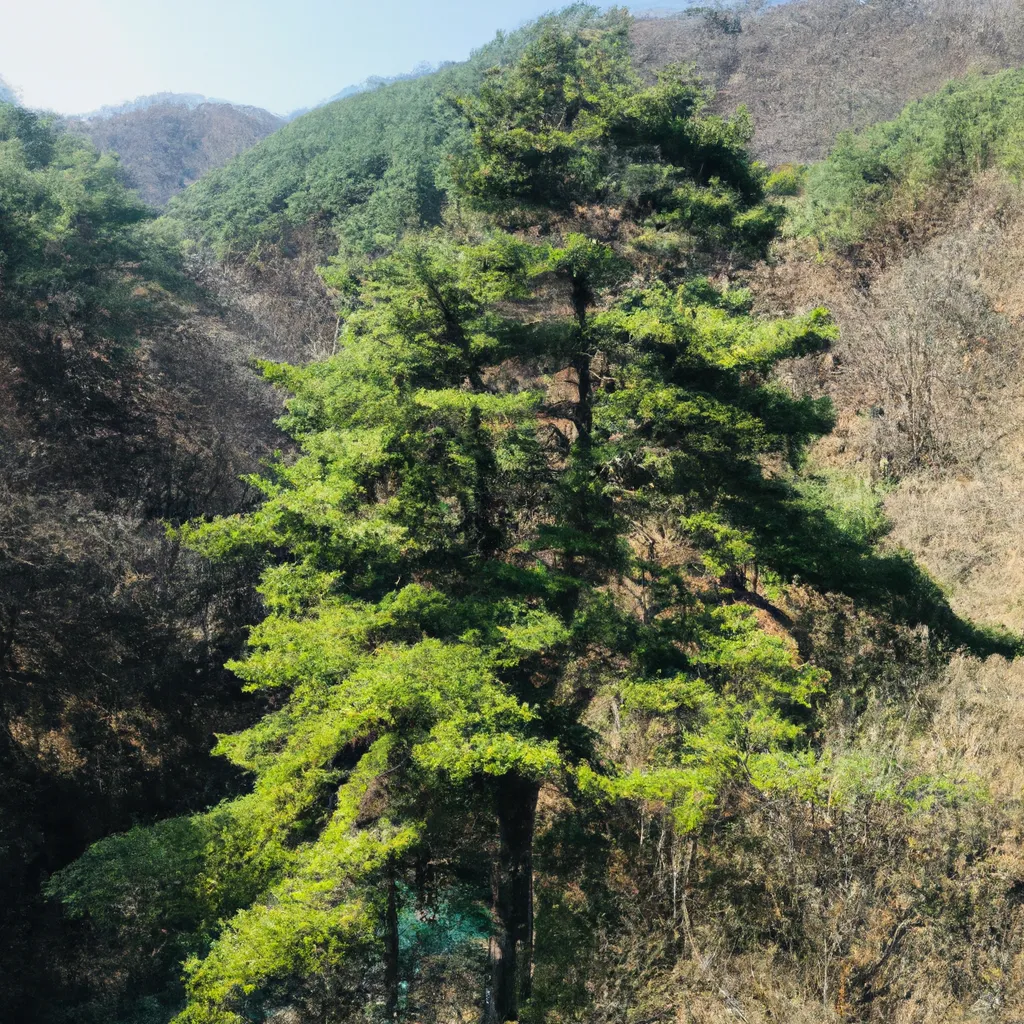 법의 힘을 빌린 성평등 실현 시민 참여와 권리 보호 실천법